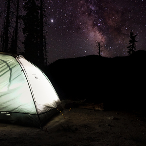 Fundraising Page: Dennis Gurfinkel